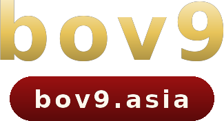 bov9 logo